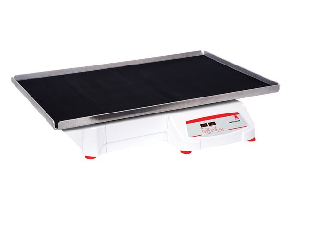 美國奧豪斯，OHAUS，脫色搖床，回旋振蕩器，圓周振蕩器，大負(fù)載圓周式搖床，SHHD6825DG